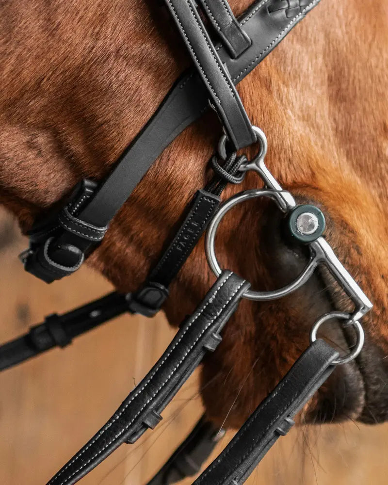 Curb back strap
