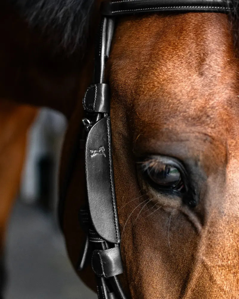Fager Focus Blinkers