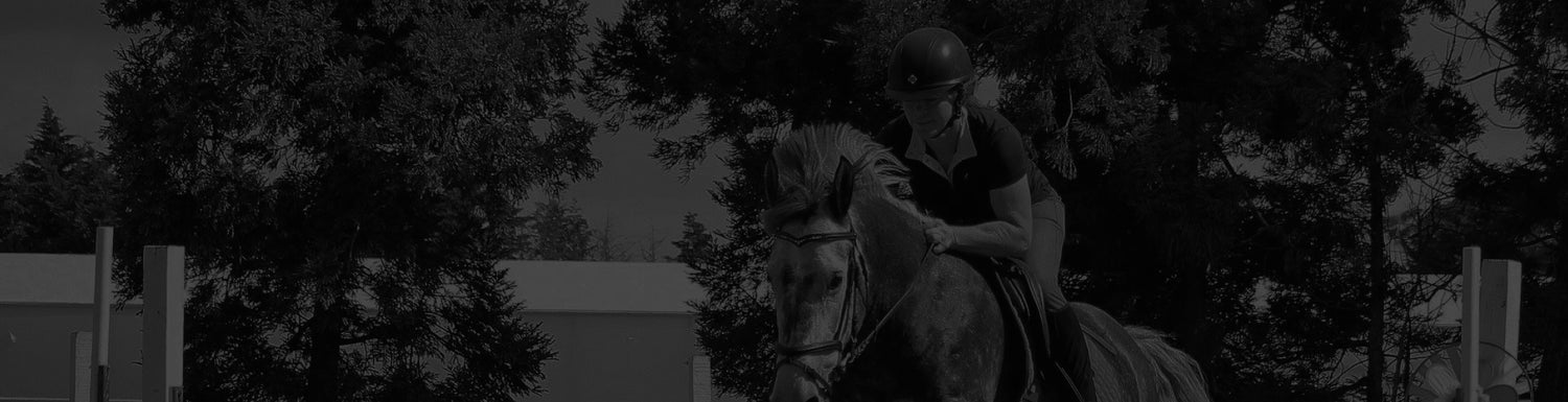 Horse Fitting - Bomber Bits NZ - Fager Bits NZ - Bit Fitter Near Me